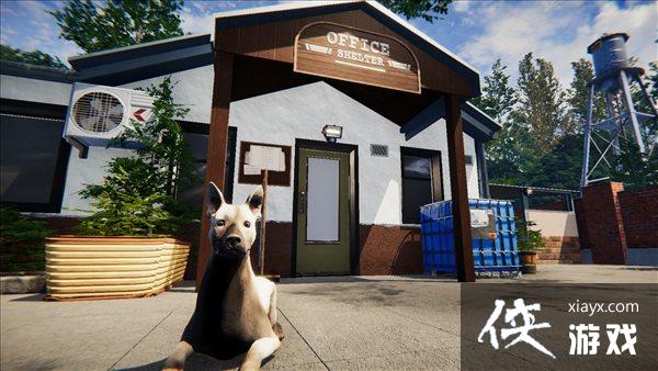 《动物收容所》免费序章已登录Steam  定档第一季度