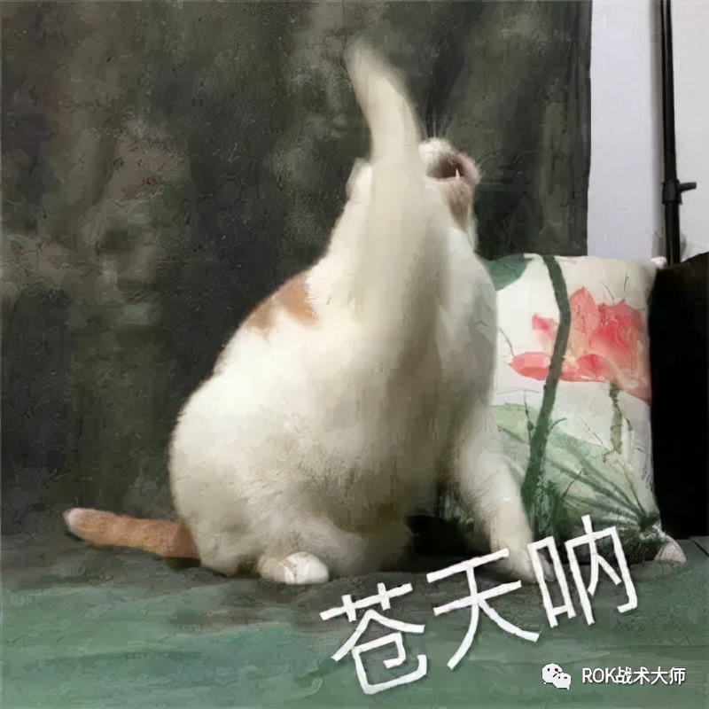 万国觉醒丨步兵玩家是否还要从零开始培养斯巴达?