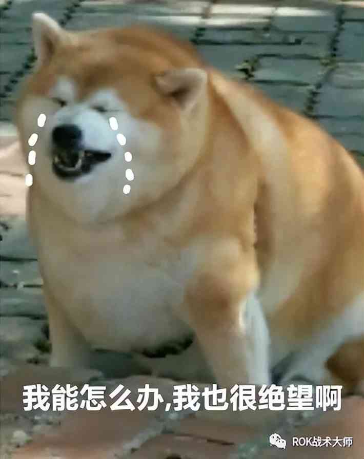 万国觉醒丨拓俊京解析(下)