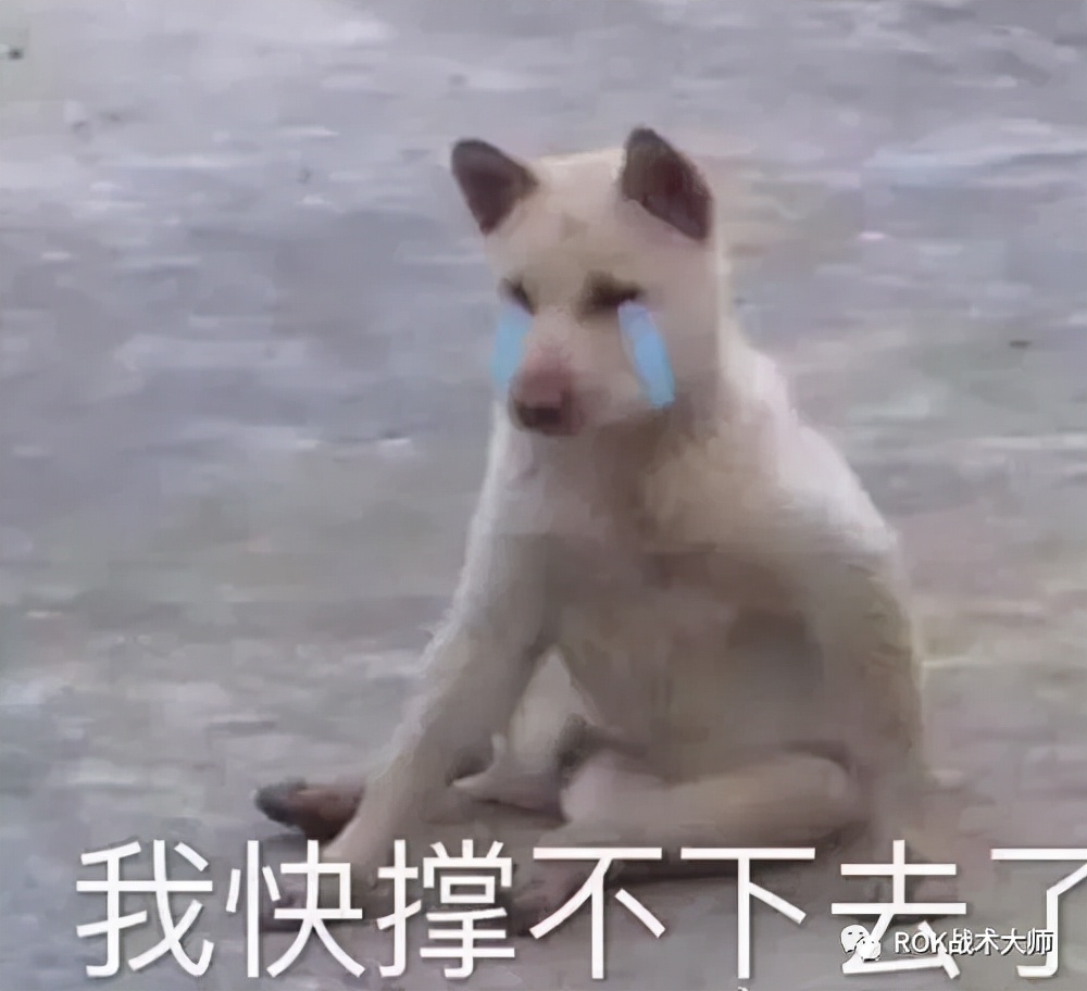 万国觉醒丨步兵玩家是否还要从零开始培养斯巴达?