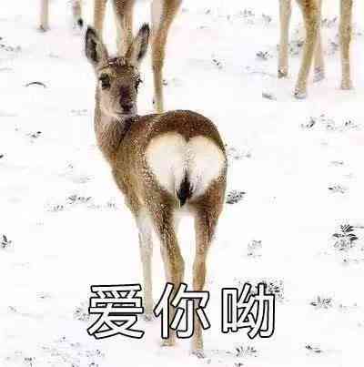 4款高评分三国策略手游,手机上也可以匡扶汉室!