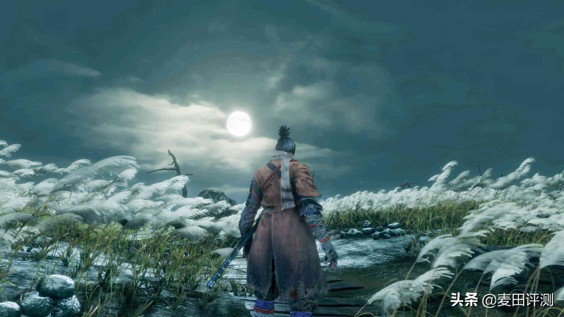 《只狼:影逝二度》深度评测:继魂之志,辟狼之进