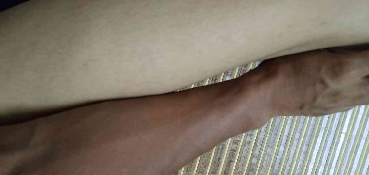 「赚金币」求大师赐一款钓鲤鱼 罗非的饵料？（罗非饵料钓鲤鱼可以吗）