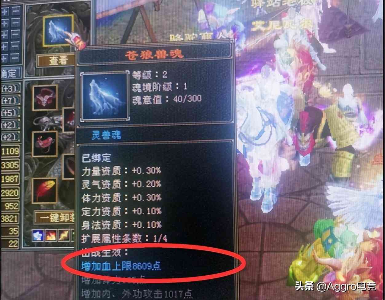 策划大意了?新天龙八部怀旧服更新后,平民玩家发现“神装”
