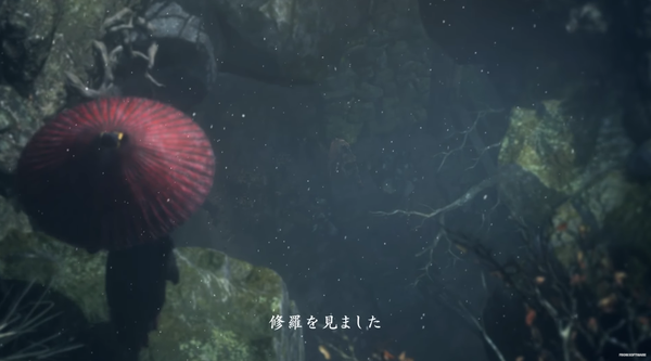 《只狼：影逝二度》实机体验 太多惊喜汗毛倒竖（《只狼·影逝二度》）