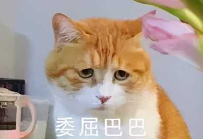 万国觉醒丨任盟主？成国王？高效管理有妙方（万国觉醒盟主）