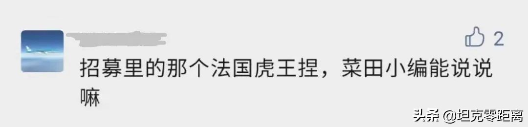 法国虎王？法国病猫！不能抗不能打的它有何价值？坦克世界