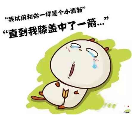 10年前贾君鹏,15年前十里坡剑神,老玩家才懂的梗还有谁在玩