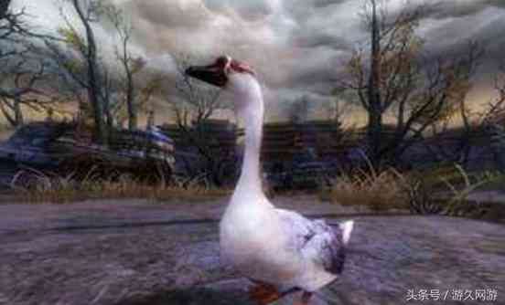 各大游戏女神NPC排行榜出炉 剑网三的头牌竟是一只鹅