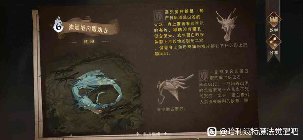 「哈利波特魔法觉醒」抽金的终极秘诀（哈利波特魔法觉醒抽卡秘诀）