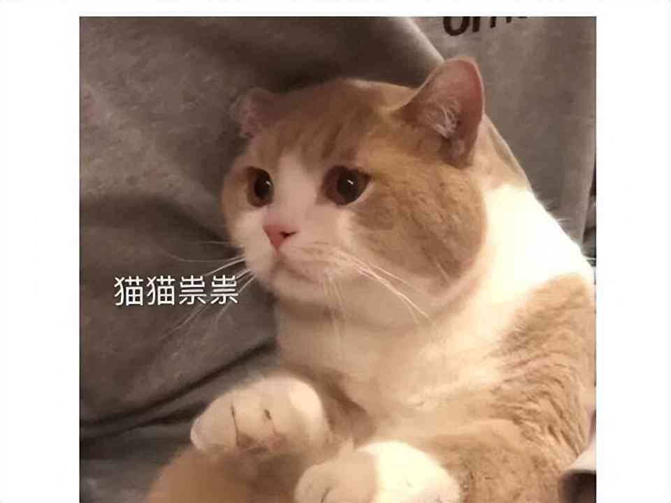 一周神评论：《仙境传说》新作上架Steam被吐槽：就是手游换皮（仙境传说氪金吗）