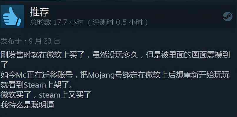 特别好评!《我的世界:地下城》Steam144元是否偏高?好评率89%