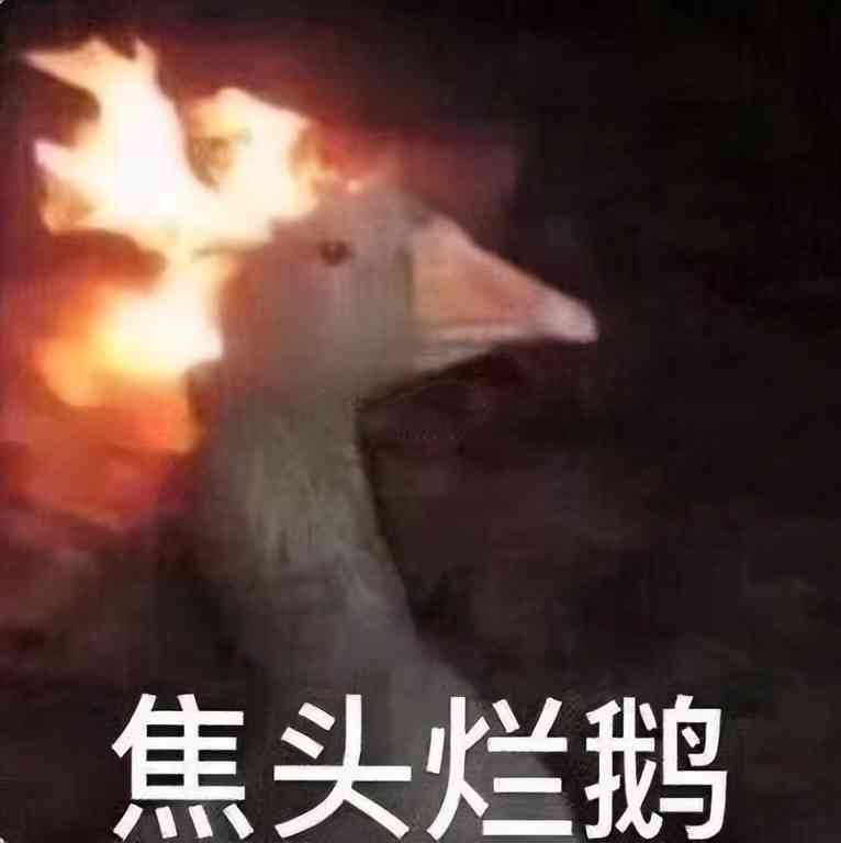 炉石传说：沉没之城中立卡点评，预定一手版本之子