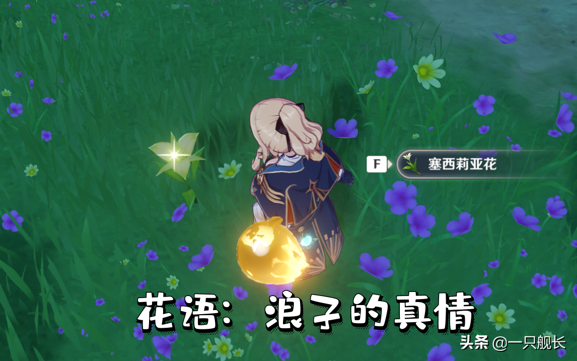 原神:都浪子了,还能有啥真情?温迪头顶的花已经告诉玩家一切