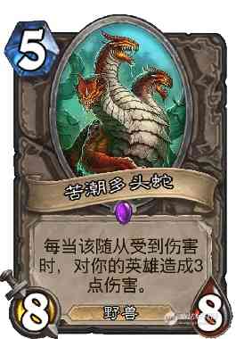 真不是骗你玩术士,新一代快攻卡组——混合弃牌园