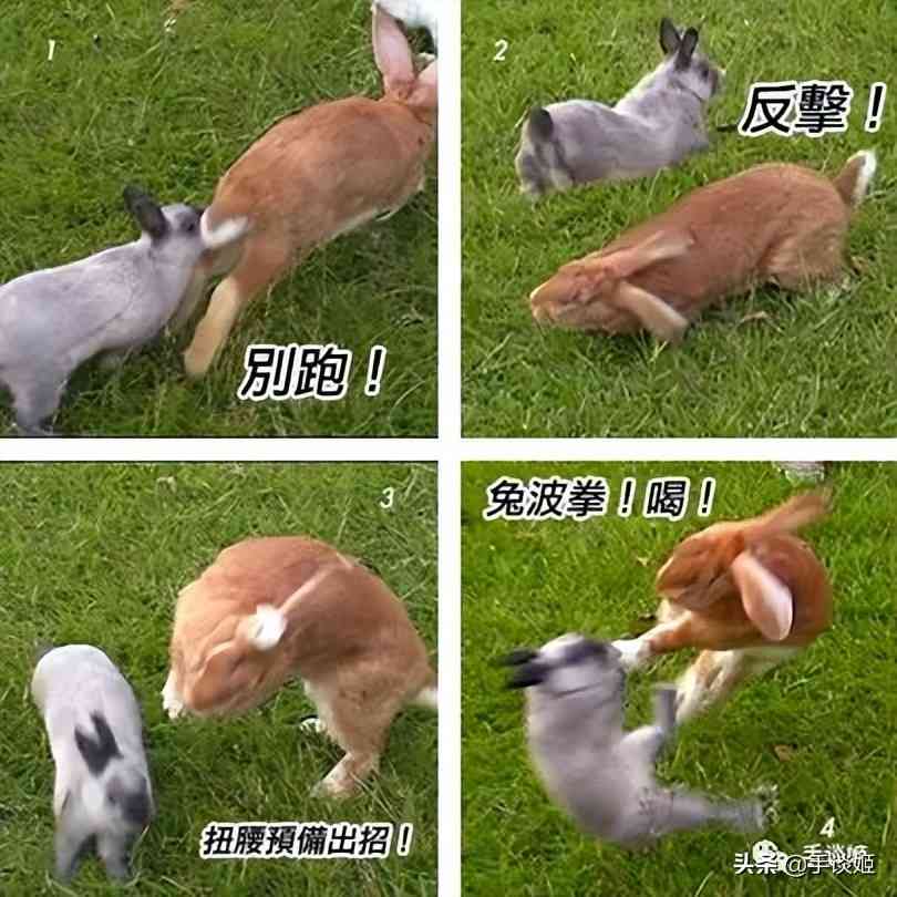 网易手游开团吐槽腾讯抄袭？网友：打起来，打起来