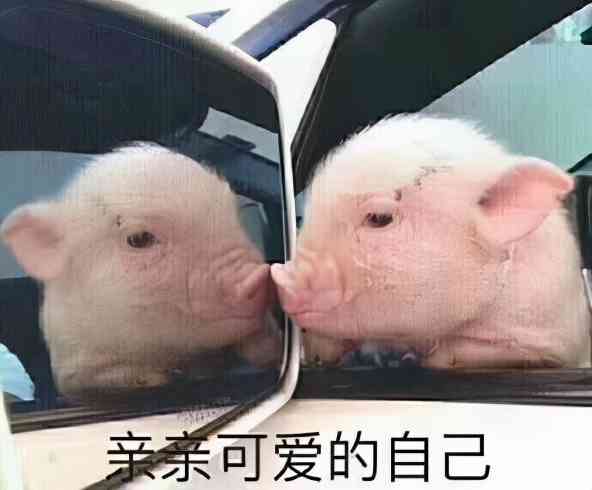 崩坏:星穹铁道会抢占原神的市场?对崩坏IP新作你怎么看