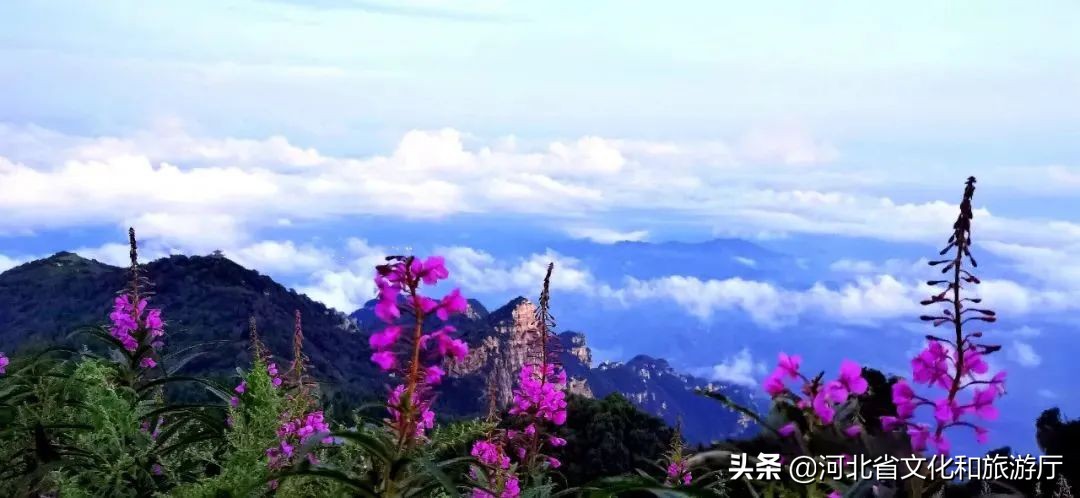 顶级春色!谁能拒绝这场“云端”诱惑~