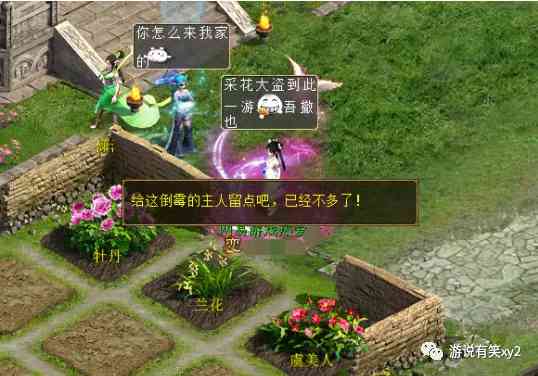 大话西游2街坊采花才能赚钱和经验!分享采花心得