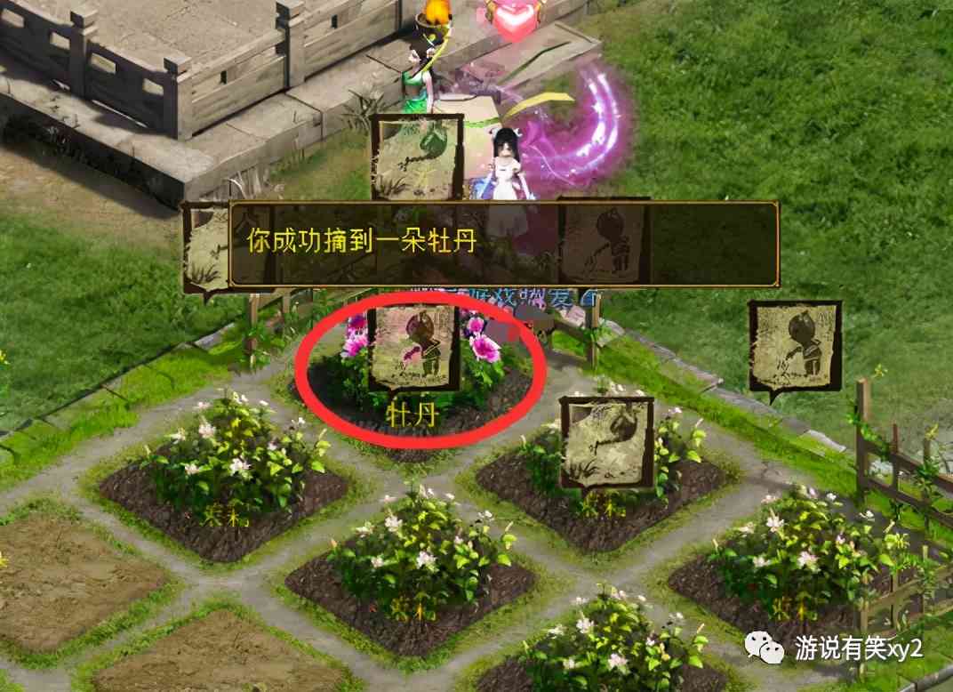 大话西游2街坊采花才能赚钱和经验!分享采花心得