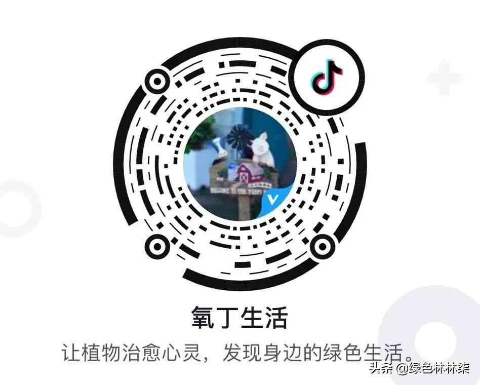 花园里面有心机,攻略秘籍塞给你
