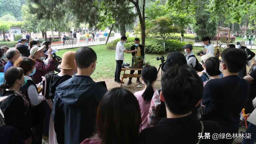 花园里面有心机,攻略秘籍塞给你