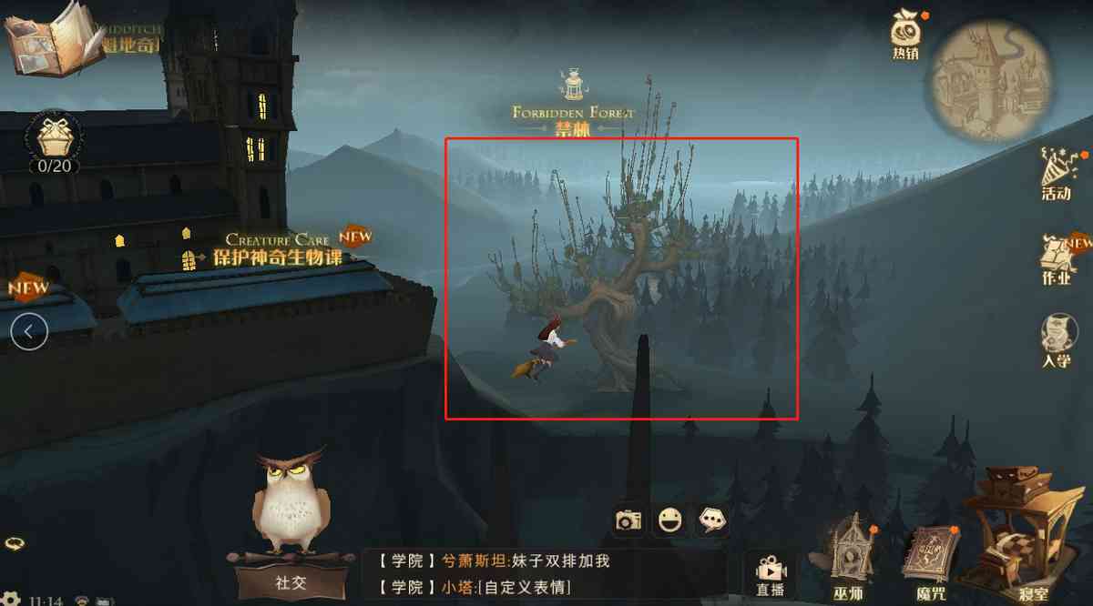 手游哈利波特魔法觉醒:打人柳保姆级教学,40幸运拿来吧你