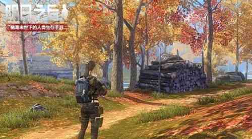 真跳伞游戏，消息称《和平精英》亚运版将不会有对人射击的玩法