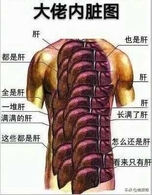 建立在传统玩法上的新世界,浅析新装备驱动游戏