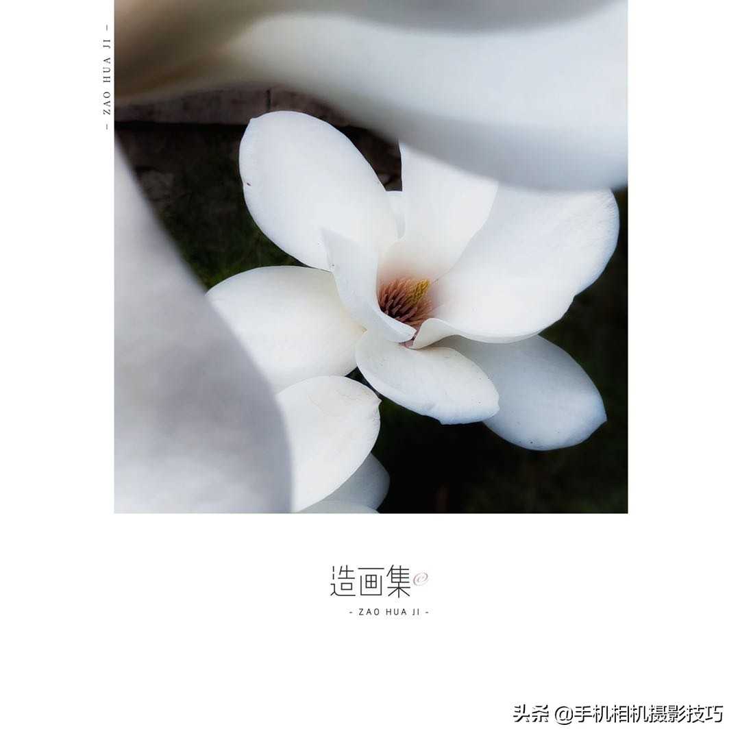 大话手游：首只文物联动召唤兽！2021鎏金宝鉴召唤兽“虎符”登场（大话22019年鎏金宝鉴是什么召唤兽）