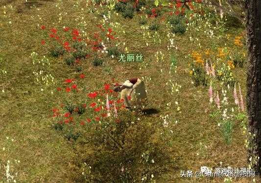 《最终幻想14》的社交研究,它究竟能为玩家带来什么?