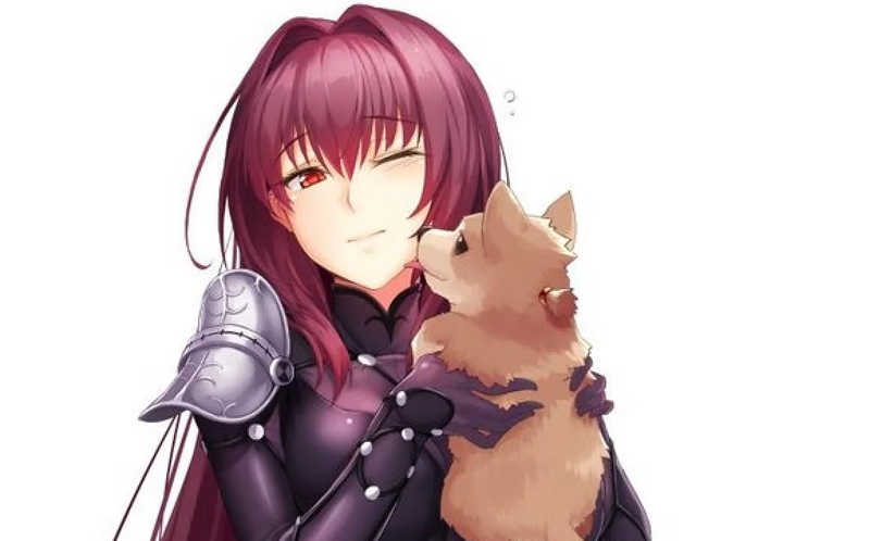 fgo:说说UP次数最多的几位五星限定从者 完全不用担心抽不到他们