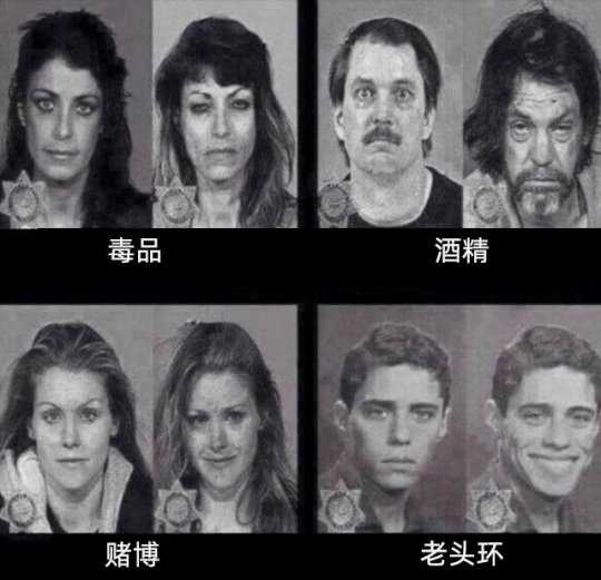 一周神评论:艾尔登法环内测码价格暴涨,玩家:看高潮了