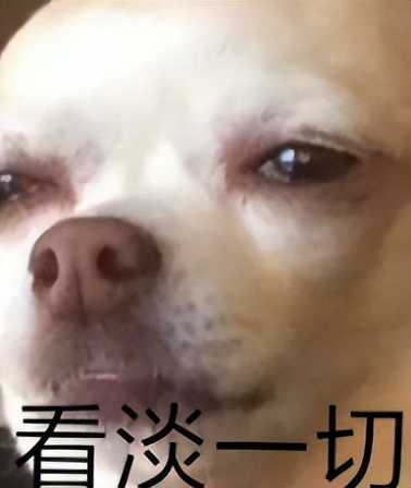 新倩女幽魂十一周年来袭 快来看看这些大佬帮会有没有你的吧