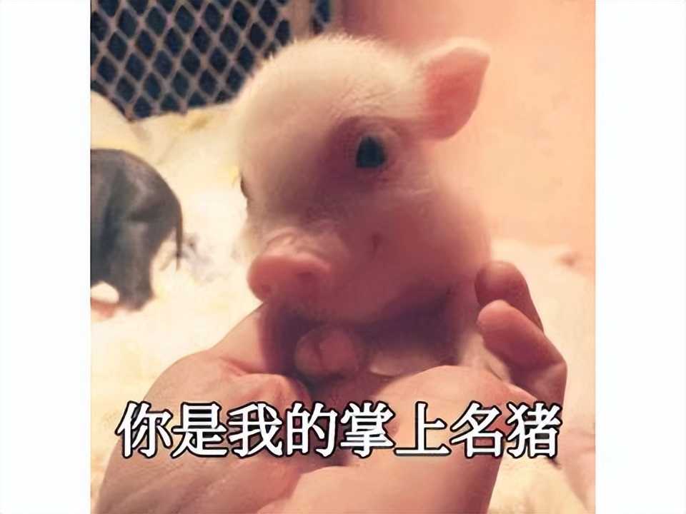 逆水寒：为了换把好武器，玩家都给剑寒风磕头了 结果很尴尬（逆水寒金剑）