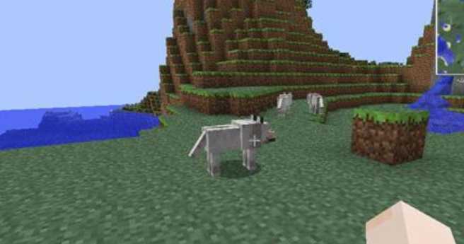 我的世界豹猫驯服不了（我的世界豹猫能被驯服吗）