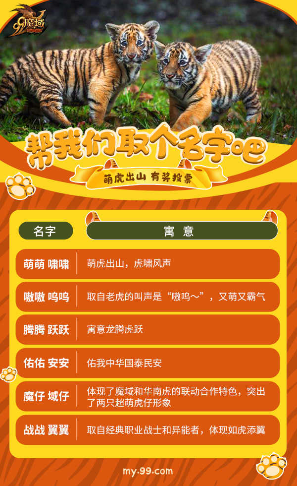 《魔域》开启华南虎“云养时代”,虎宝宝征名投票开启