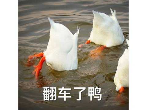 2021哪些游戏凉了?腾讯网易亿级游戏凉凉,游戏上线开服0秒停运