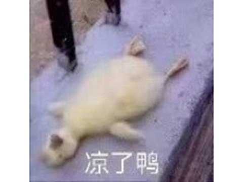 2021哪些游戏凉了?腾讯网易亿级游戏凉凉,游戏上线开服0秒停运
