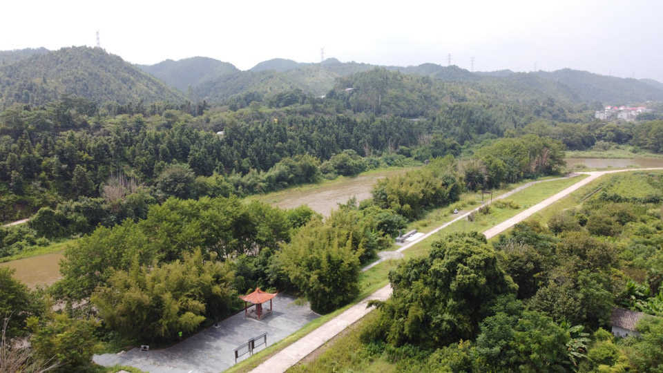 阳明之旅:江上王守仁