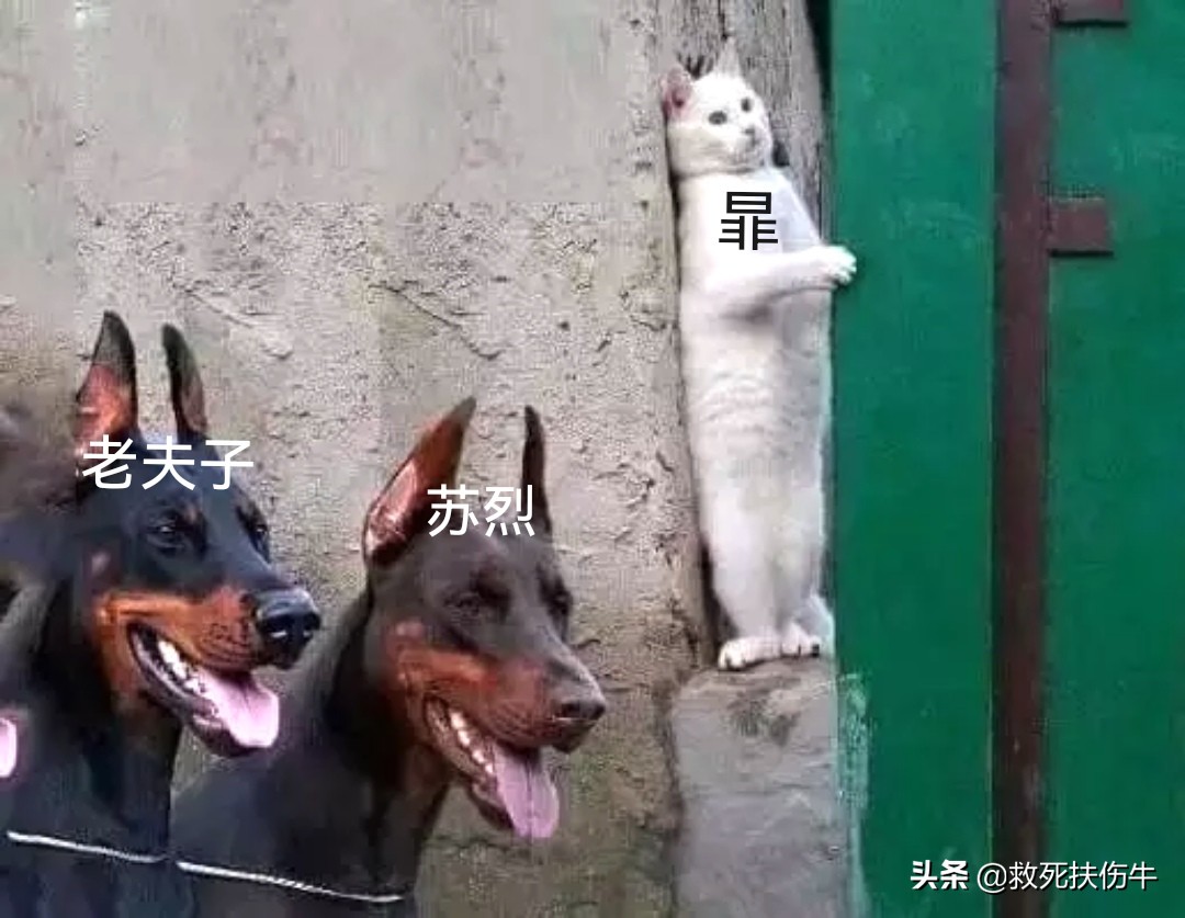 王者荣耀:新英雄暃攻略,装备推荐 连招指南