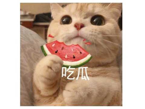 一周神评论:DNF手游韩服上线还做PC端,网友吐槽:为啥不玩端游