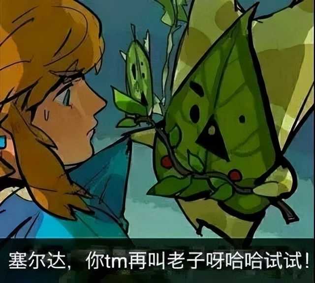 《塞尔达》续作咕咕咕，寂寞呀哈哈望穿秋水！玩家：快点发布