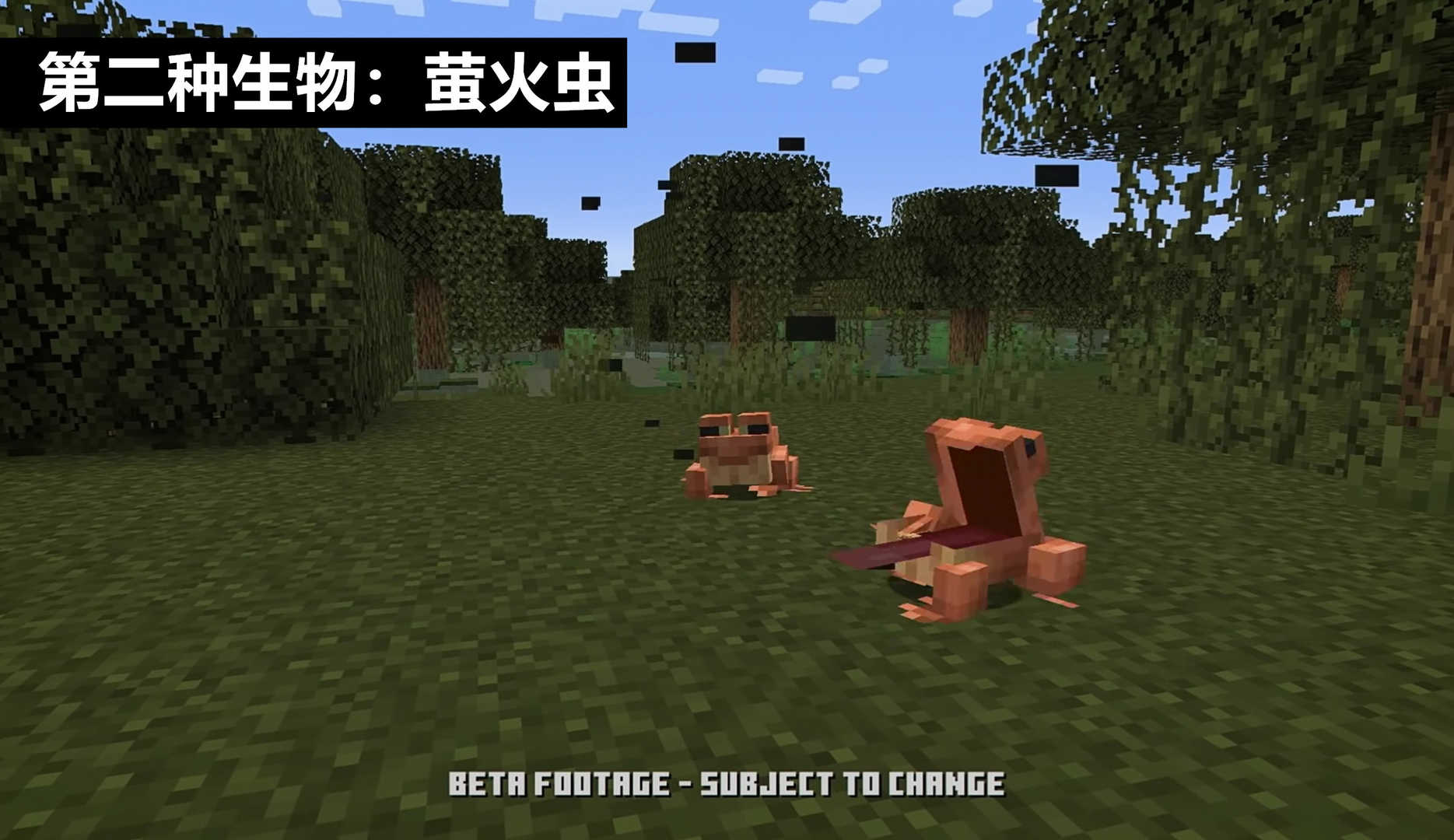 我的世界秘密：Mojang是如何发明青蛙的？青蛙的前身是“鳄鱼”