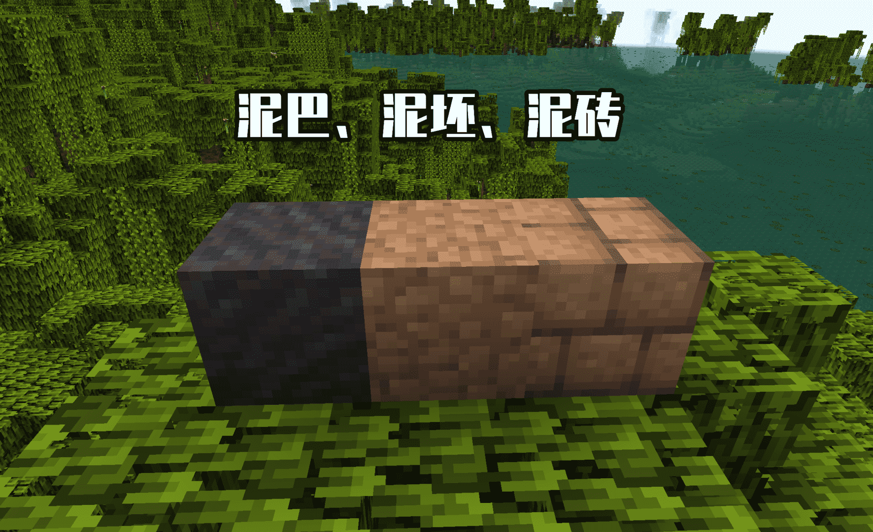 我的世界:mc有15种泥土?无草泥土,不说你可能这辈子不知道