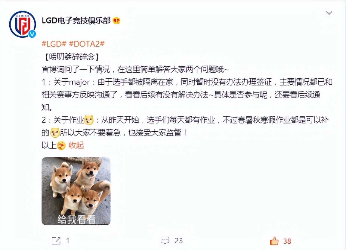 Dota2-暗讽?LGD表示:签证问题尚未解决,欢迎监督选手单排量
