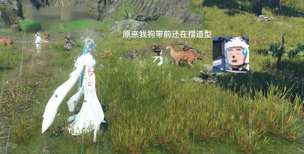 逆水寒玩家也陷入循环?删号、买号30次,比公交车爆炸还离谱