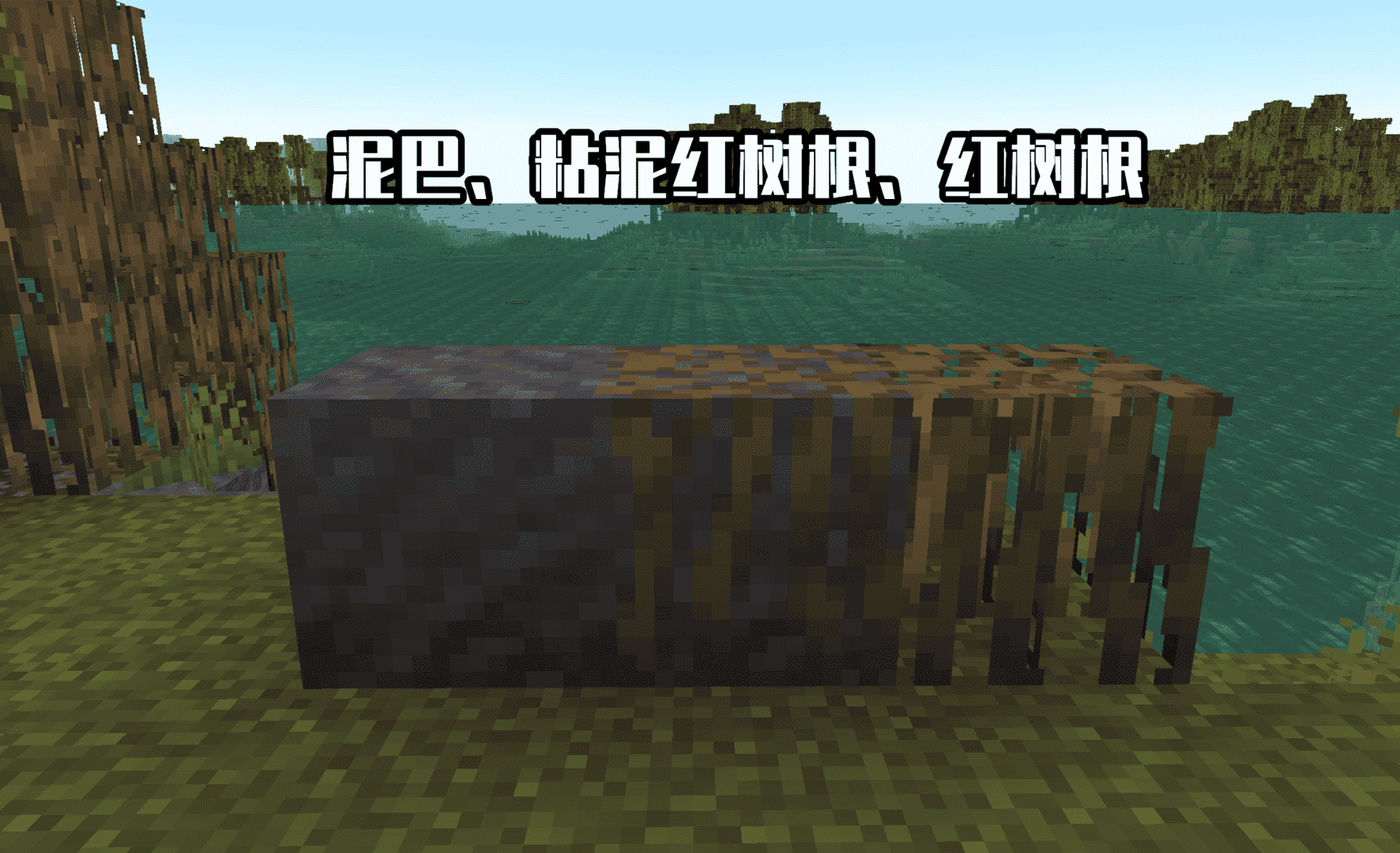 我的世界:mc有15种泥土?无草泥土,不说你可能这辈子不知道