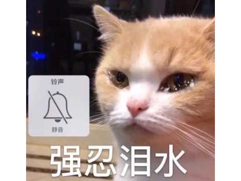 撞上一个塔主，被他的队友“压弯”了？还记得我在永恒之塔爱上人妖的经历吗