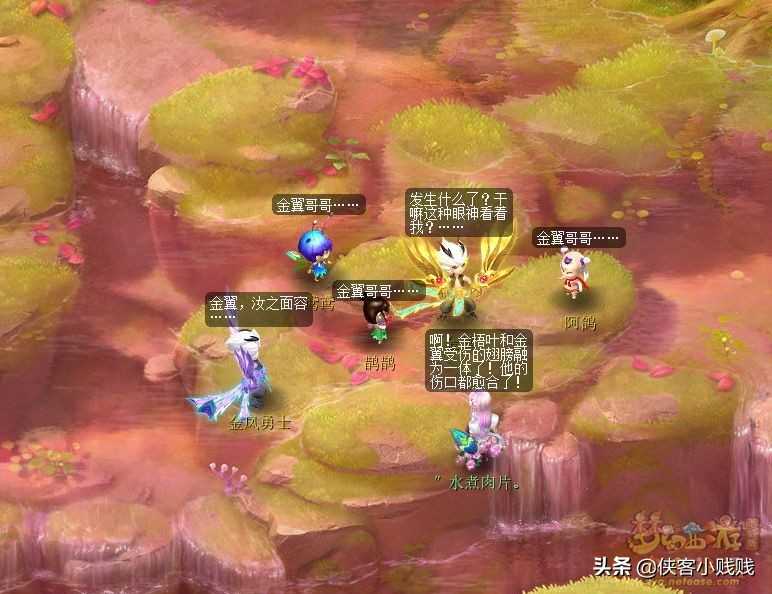 梦幻西游如梦奇谭·金羽曳攻略(附剧情详解)